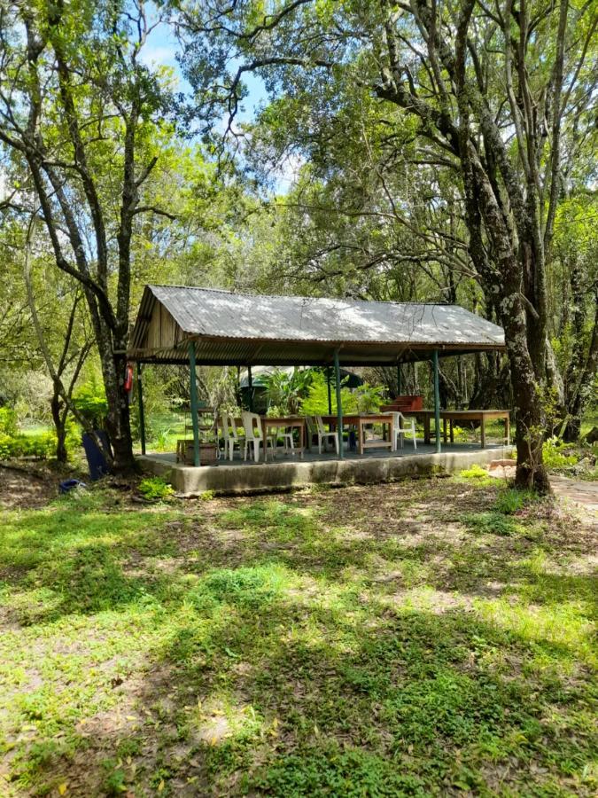 ホテル Leruk Maasai Mara Camp Sekenani エクステリア 写真