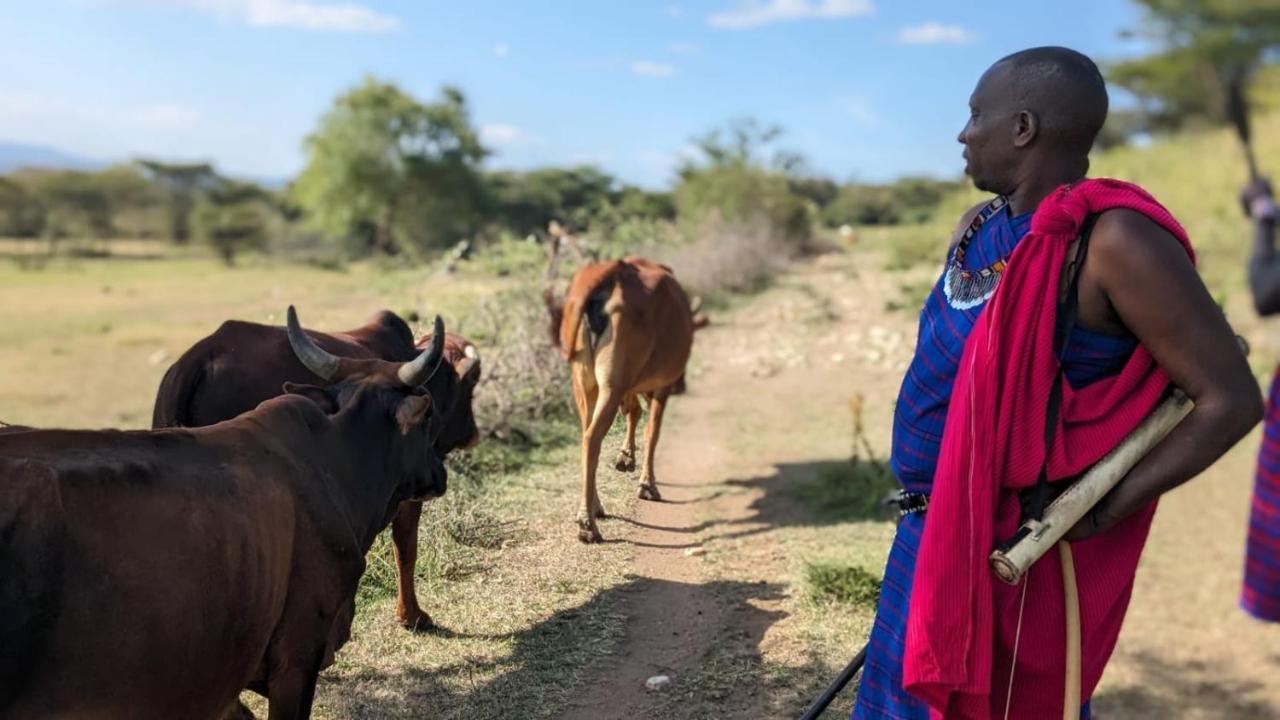 ホテル Leruk Maasai Mara Camp Sekenani エクステリア 写真